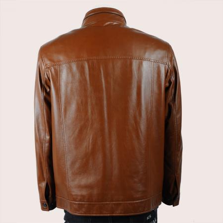2011新款/凯撒正品/简洁立领貂皮内胆真皮男士皮草皮衣/11301
