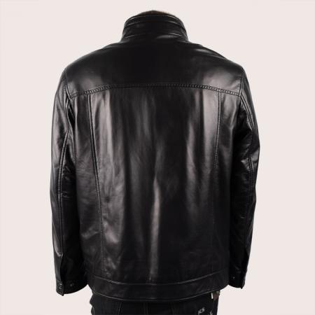2011新款/凯撒正品/简洁立领貂皮内胆真皮男士皮草皮衣/11301