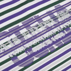 正品凯撒PRINCE11203时尚条纹短袖男装棉T恤 夏新款新品